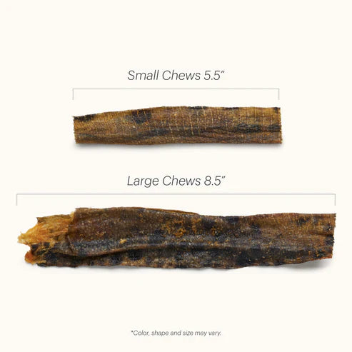 The Honest Kitchen - Ocean Chews - Hearty Wolffish Skins